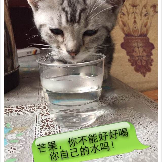 新西伯利亚国立技术大学毕业证办理
